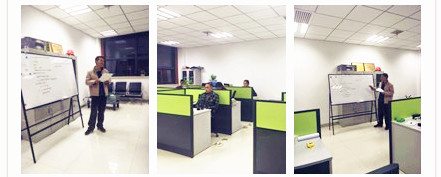 西咸公司開展北方苗木養(yǎng)護系列培訓(xùn)