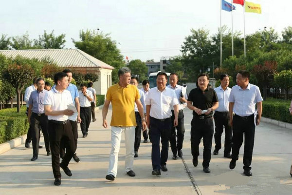 張宏偉一行調(diào)研基泰集團涇河新城項目