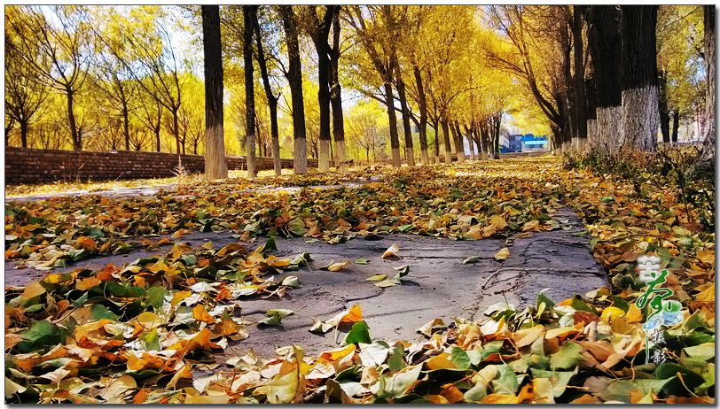 對于工作，你帶著情懷了嗎？