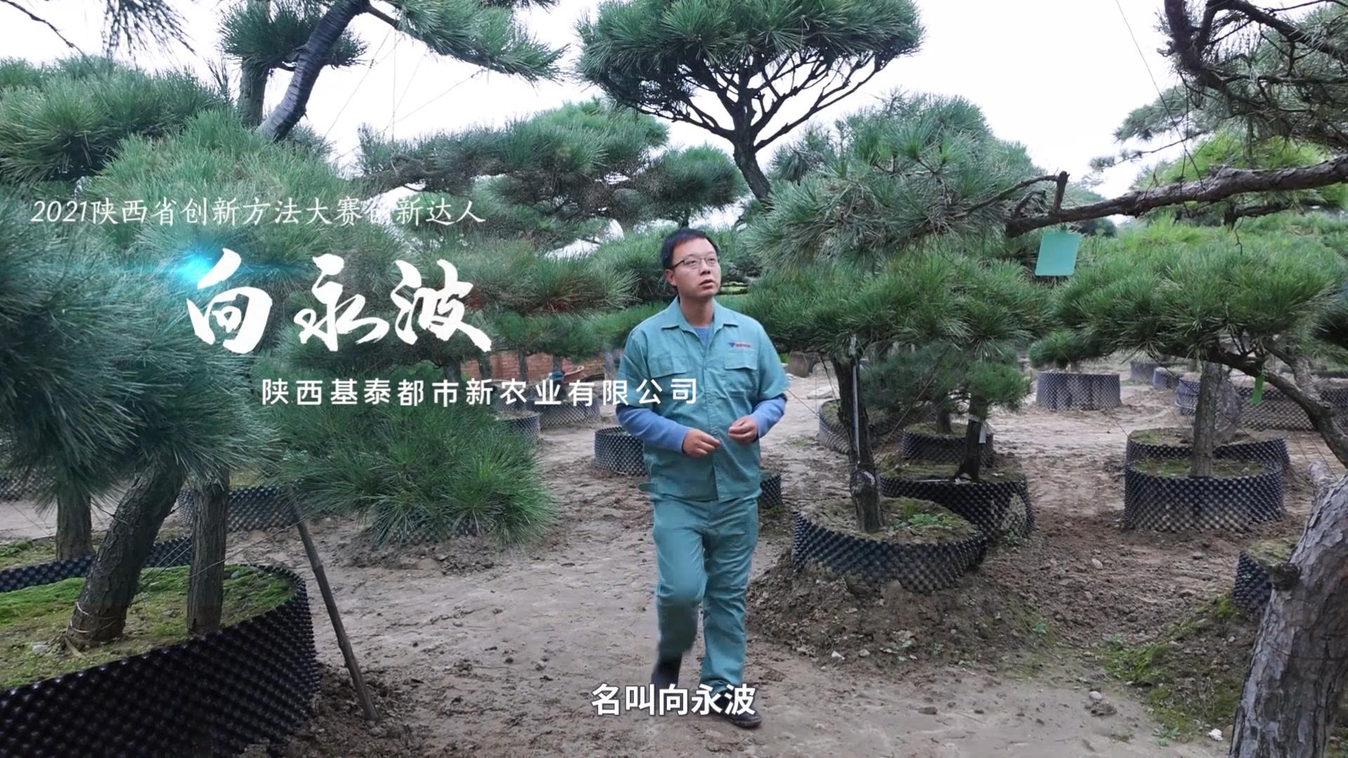 創(chuàng)新達(dá)人！