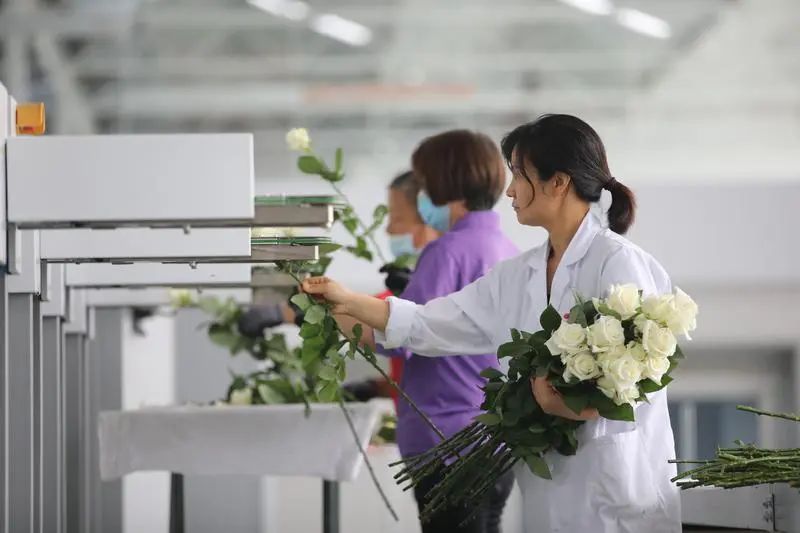 群眾新聞報(bào)道基泰園藝!